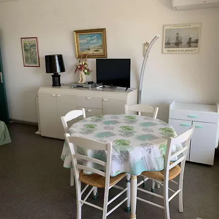 2 Pièces Climatisé Avec Piscine, Parking Et Animaux Admis à Port Camargue - Fr-1-731-66 Appartamento