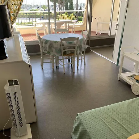 2 Pièces Climatisé Avec Piscine, Parking Et Animaux Admis à Port Camargue - Fr-1-731-66 Appartamento *