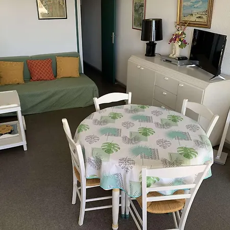 2 Pièces Climatisé Avec Piscine, Parking Et Animaux Admis à Port Camargue - Fr-1-731-66